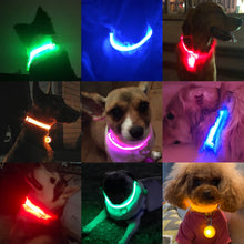 Load image into Gallery viewer, USB Charging LED Dog Collar