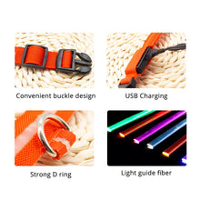 Load image into Gallery viewer, USB Charging LED Dog Collar