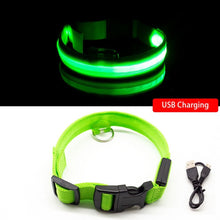 Load image into Gallery viewer, USB Charging LED Dog Collar