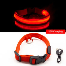 Load image into Gallery viewer, USB Charging LED Dog Collar