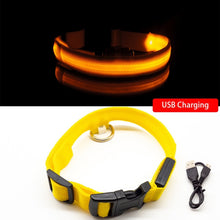 Load image into Gallery viewer, USB Charging LED Dog Collar