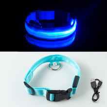 Load image into Gallery viewer, USB Charging LED Dog Collar