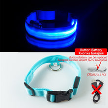 Load image into Gallery viewer, USB Charging LED Dog Collar