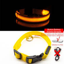 Load image into Gallery viewer, USB Charging LED Dog Collar