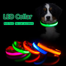Load image into Gallery viewer, USB Charging LED Dog Collar