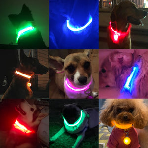 USB Charging LED Dog Collar