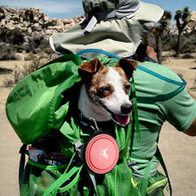 Load image into Gallery viewer, 350ML/1000ML 1PC Collapsible pet Bowls for Travel
