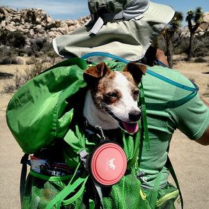 350ML/1000ML 1PC Collapsible pet Bowls for Travel