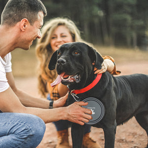 350ML/1000ML 1PC Collapsible pet Bowls for Travel